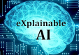 대한민국 Explainable AI (XAI) 과정