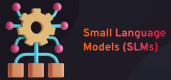 대한민국 Small Language Models (SLMs) 과정