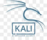 Image for the Kali Linux