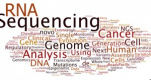 Image for the Microbial Genomics Training in South Korea