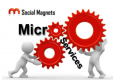 Image for the Microservices