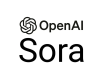 Sora Training in South Korea