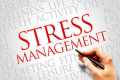 대한민국 Stress Management 과정